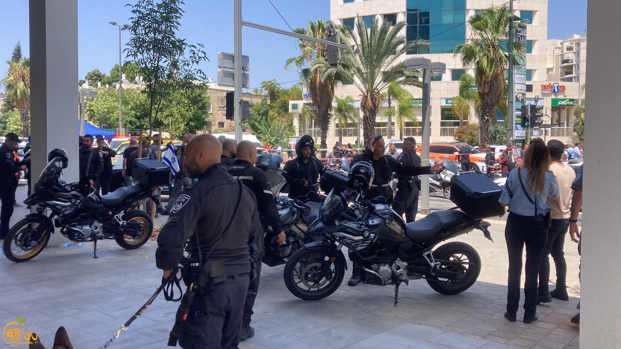 WhatsApp Image 2023-07-04 at 2.05.29 PM (1).jpeg